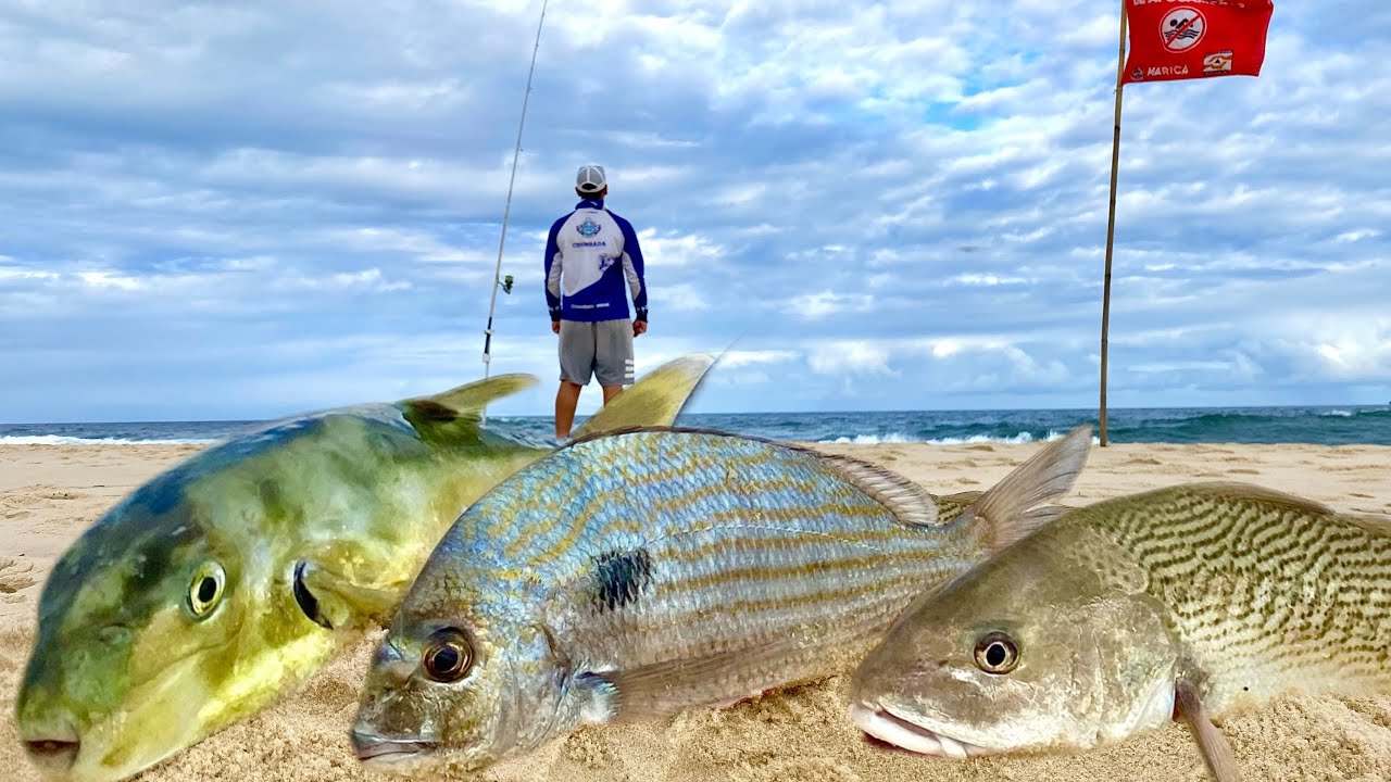 Aprenda as Melhores Dicas para Pescaria de Praia e Nunca Mais volte Sem Peixes para Casa.