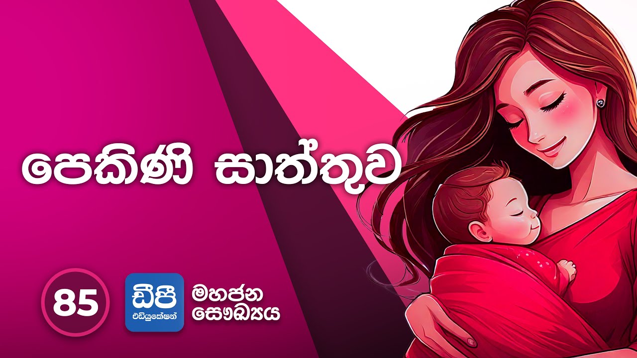 85. පෙකිණි සාත්තුව