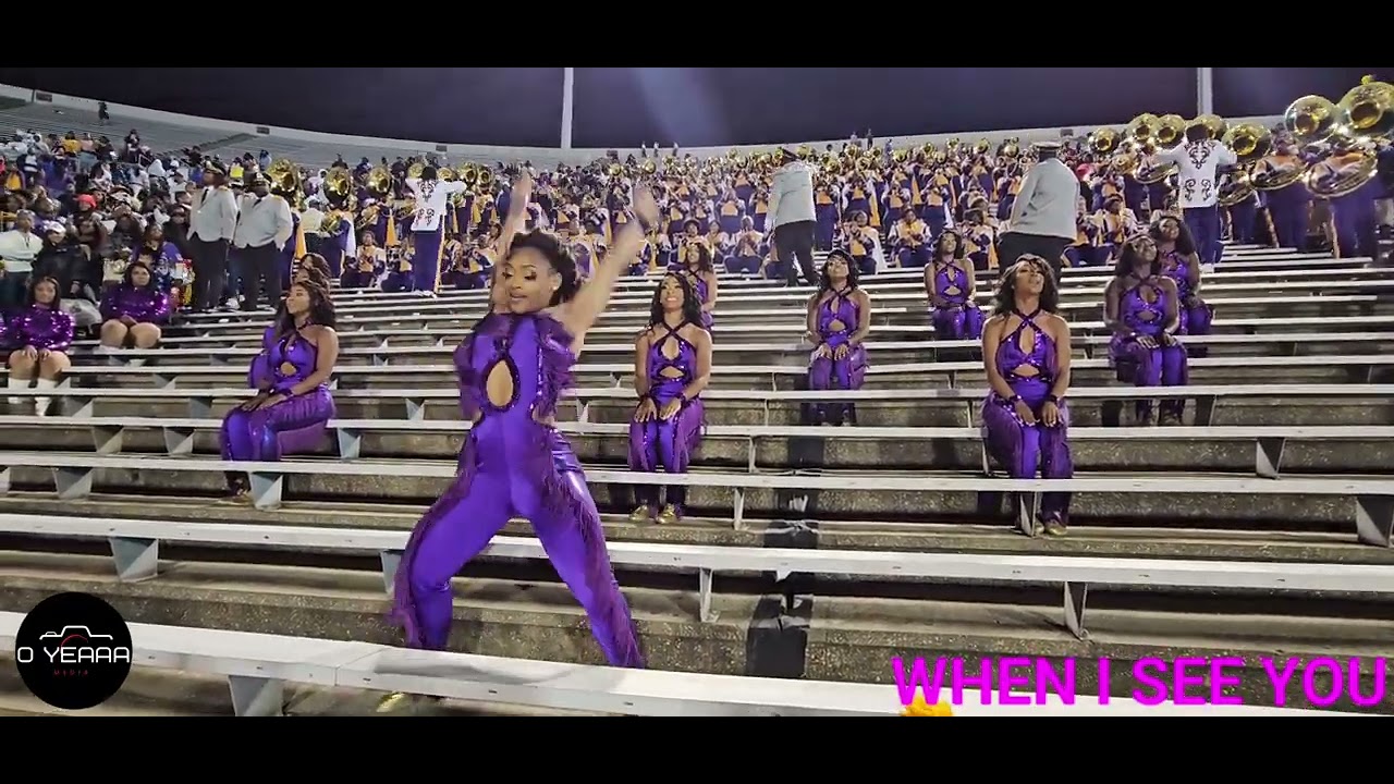 (WHEN I SEE YOU) by Fantasia 🔥 Alcorn State Marching Band and Golden Girls 