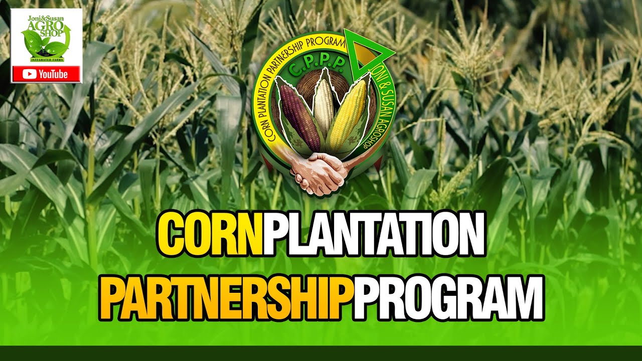 Joni and Susan Agroshop | Corn Plantation Partnership Program
