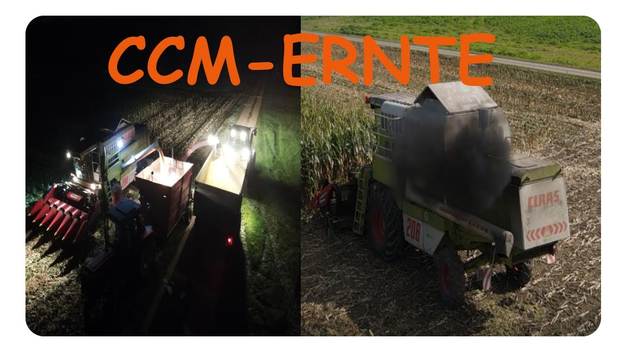 [DJI] Die CCM-ERNTE     Greta freut sich bestimmt