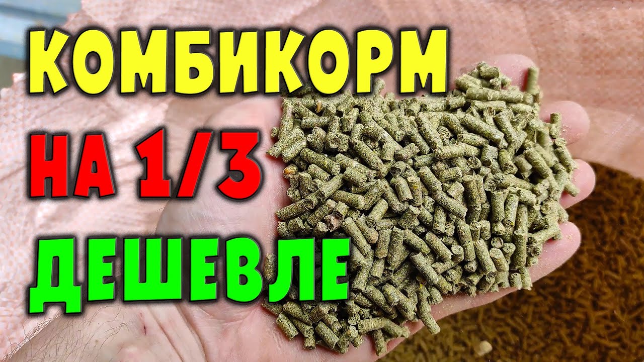 Комбикорм подешевле на треть / Кормление кроликов