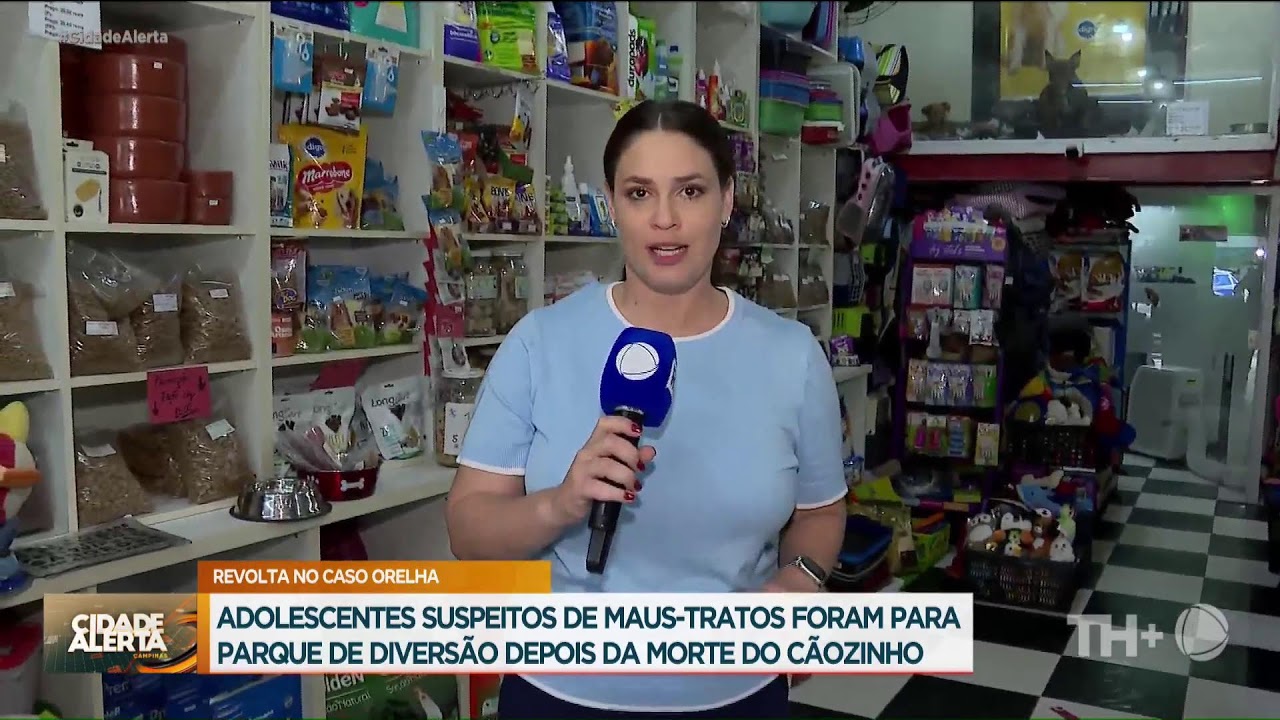 CIDADE ALERTA - AO VIVO - 27/01/2026