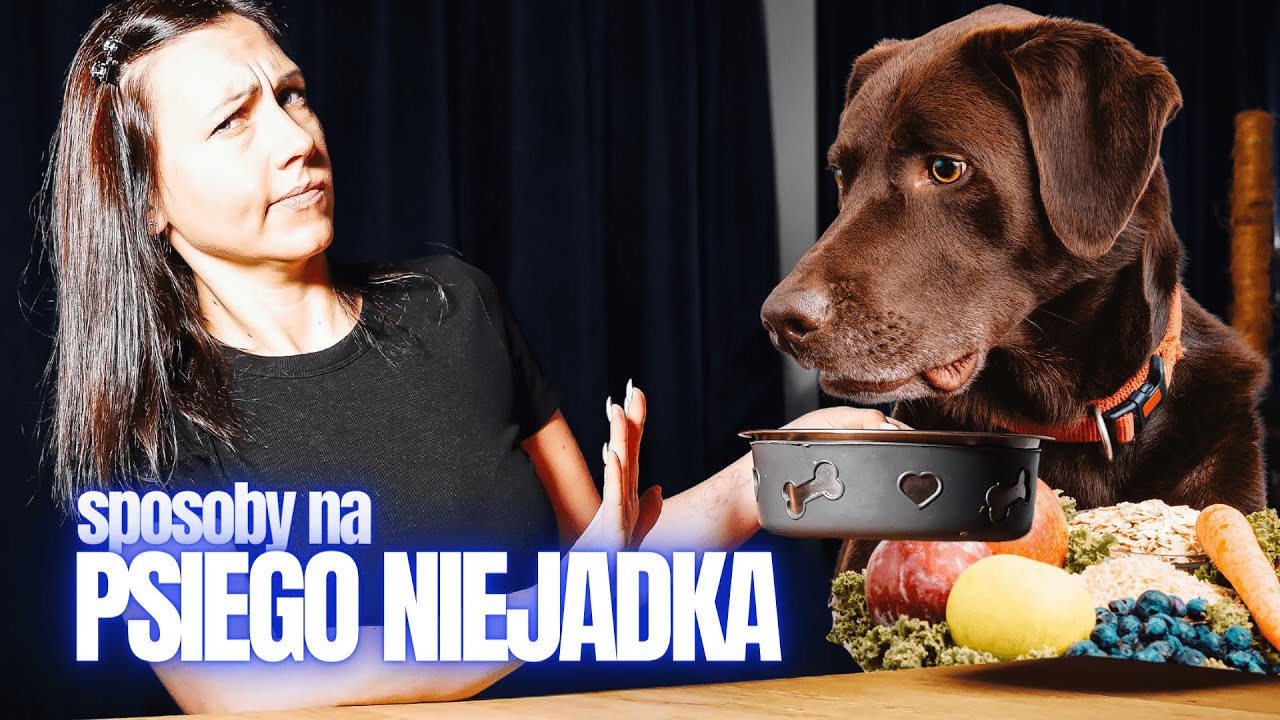 Psi NIEJADEK - co robić?