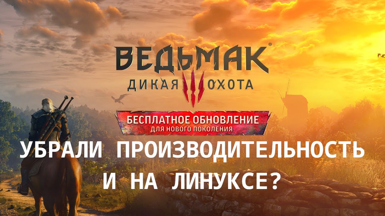 Witcher 3 v4.0 Linux - Зачем трогали dx11...