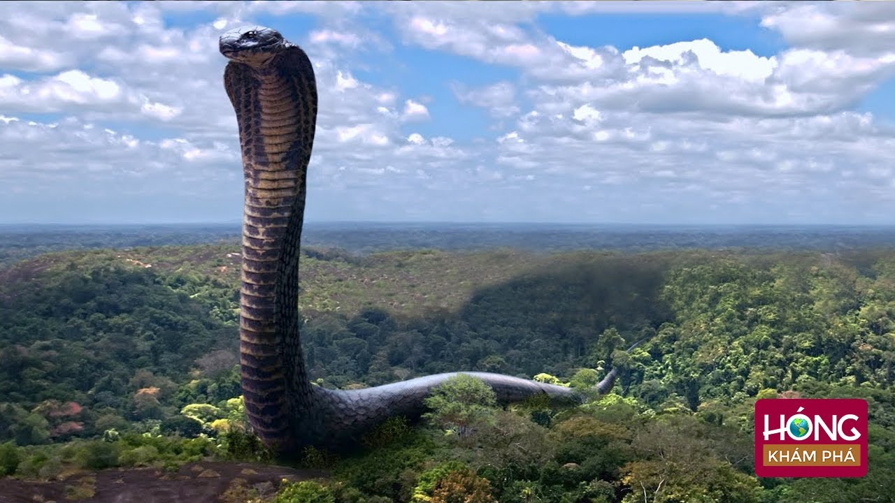 Điều khủng khiếp xảy ra khi Qu&aacute;i Vật Titanoboa hồi sinh| H&oacute;ng Kh&aacute;m Ph&aacute;
