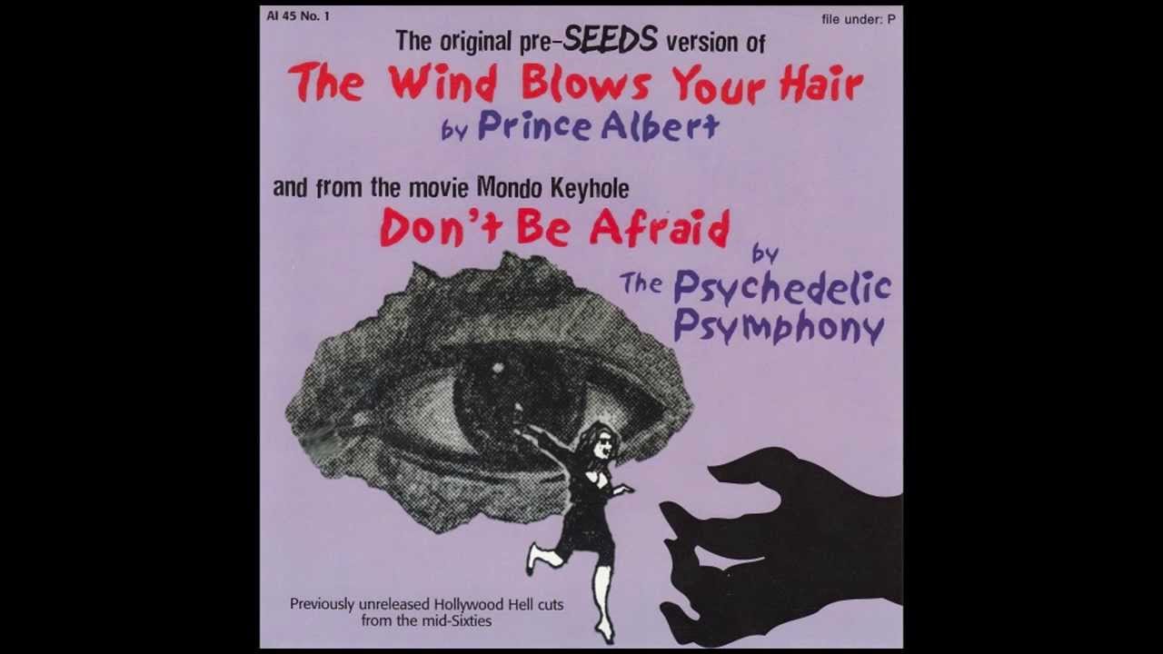 Prince Albert - The Wind Blows Your Hair (1965)