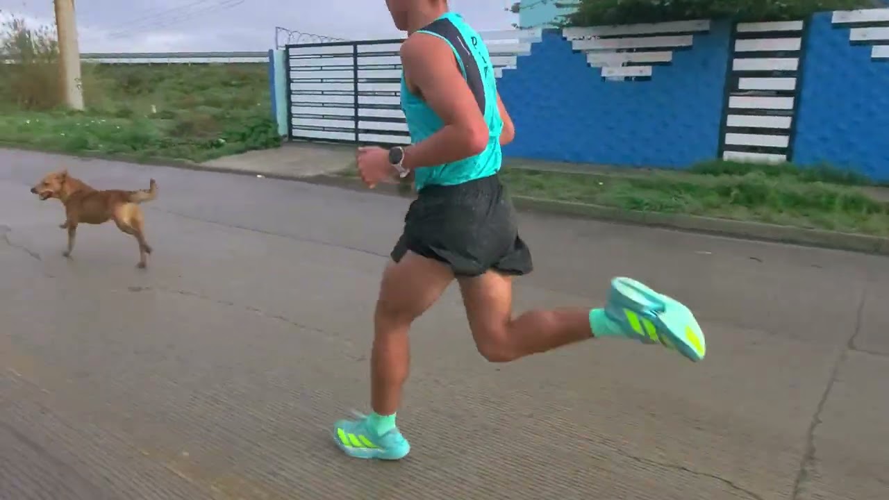 Carrera Día del Policia 6K Rosarito 2026.