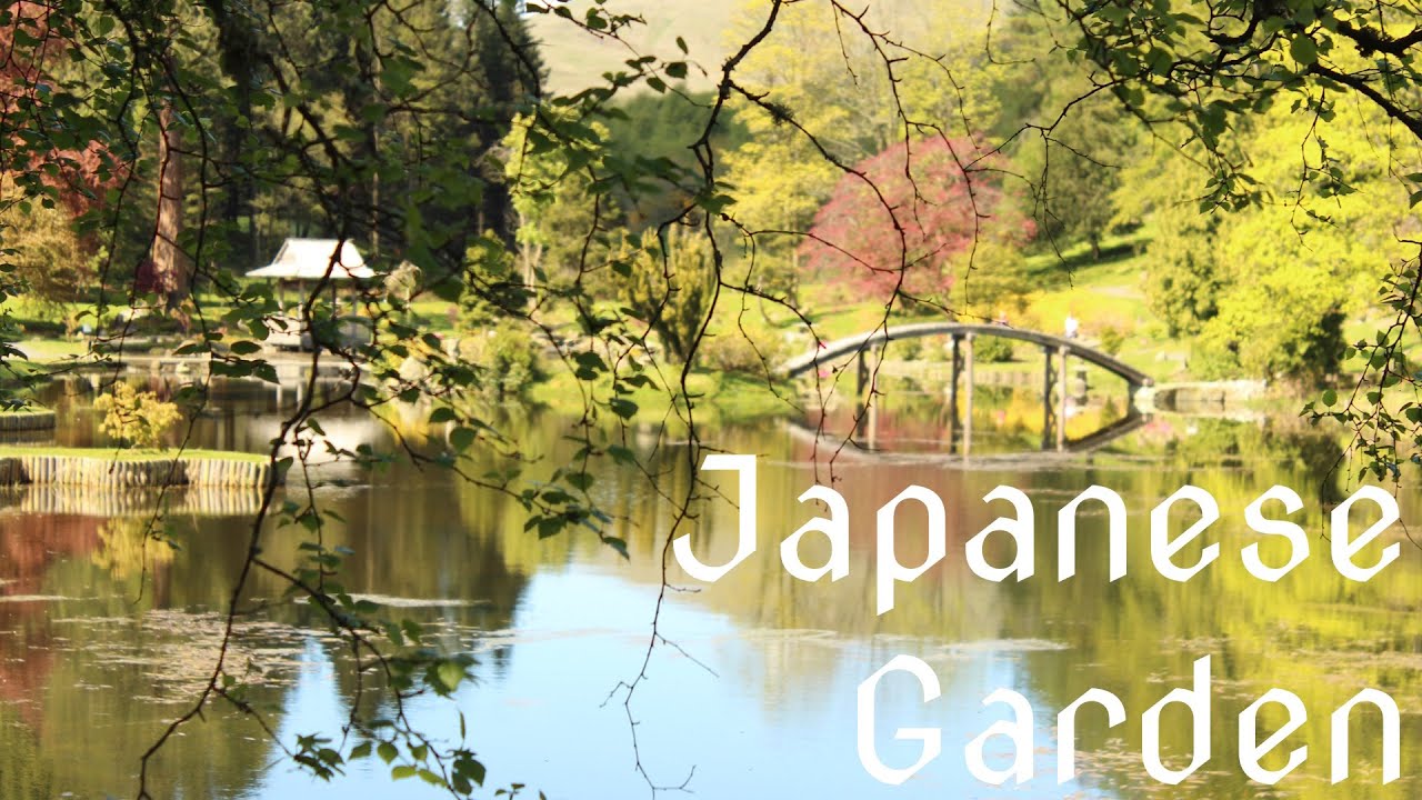 Japanese Garden - Cowden - Scotland | 4K | Pixel 8 Pro