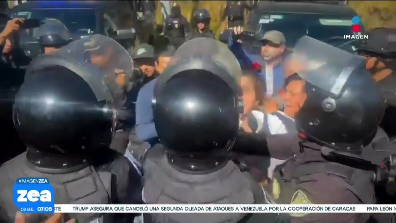 Presentan queja ante CNDH por desalojo de m&aacute;s de 900 perritos del Refugio Franciscano | Zea