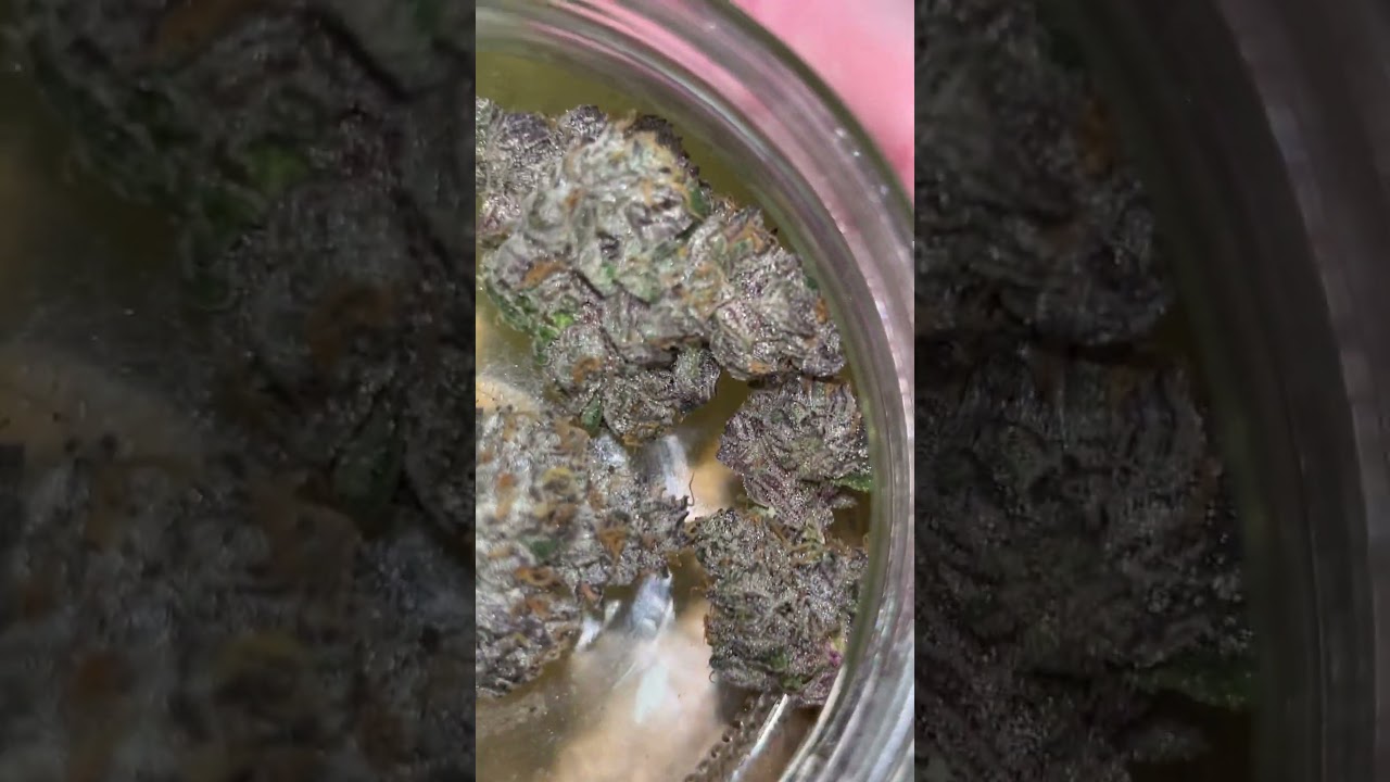 This Sticky Ricky is gass🔥 bong rips! Bong sesh! Bongs are life! Smoke with me! #420 #cannabisdaily