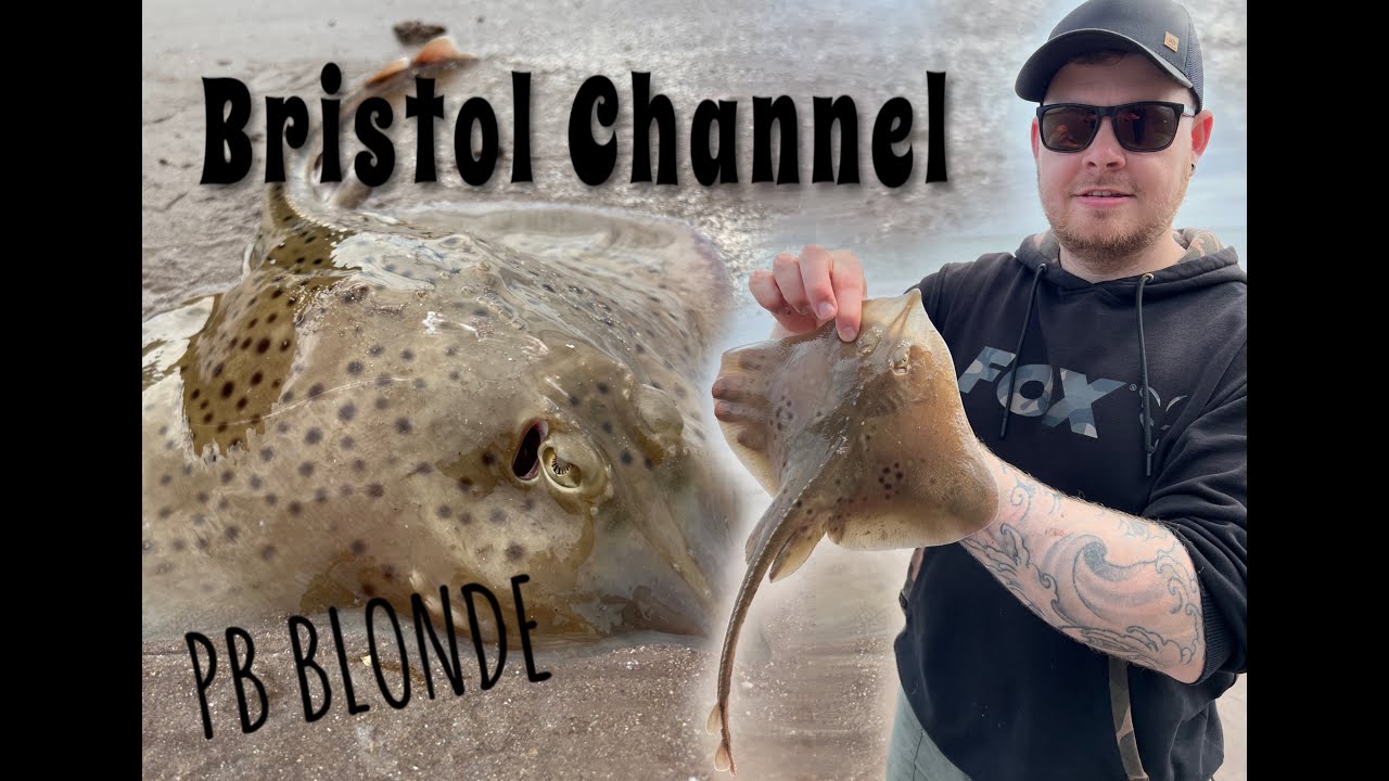 Bristol Channel, Minehead, White Mark, PB blonde, UK Beach fishing, Ray Fishing,