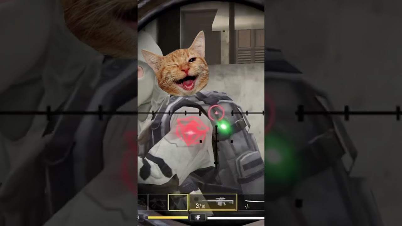 QUICKSCOPE Kills Only! 