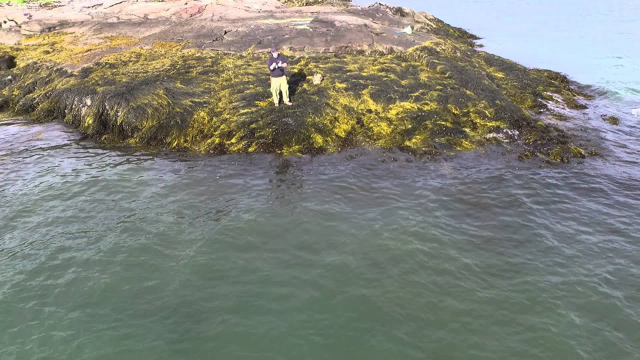 Fishing in Mo i Rana