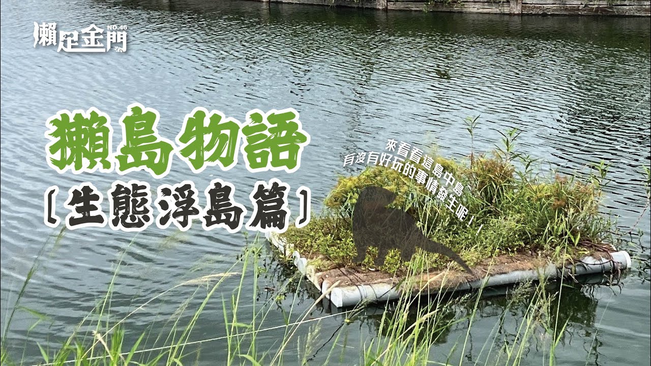金門水獺第46集 Eurasian otter in Kinmen NO.46 獺島物語-生態浮島篇！水獺在島中島生活大公開~