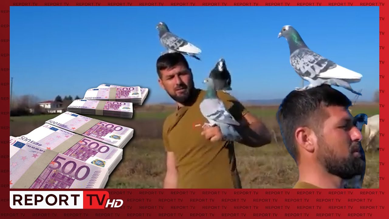 Oferta marramendëse, 5000 euro për një pëllumb?! Soni Arapi refuzon: Pasioni s’shitet