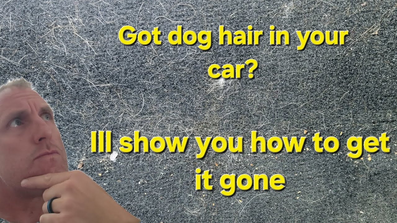 Best way to remove dog hair from your car or truck!  How to do it!