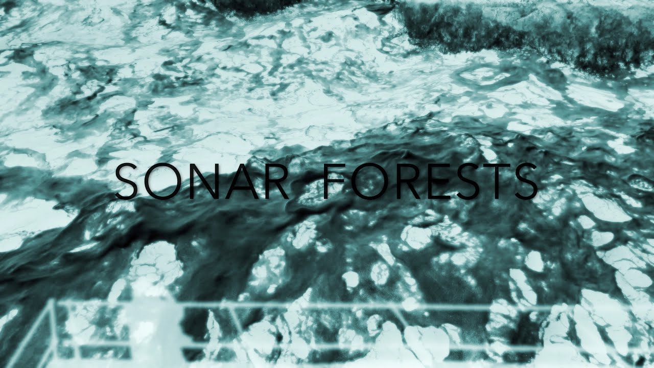 Laura Cannell - SONAR FORESTS (Official Video)