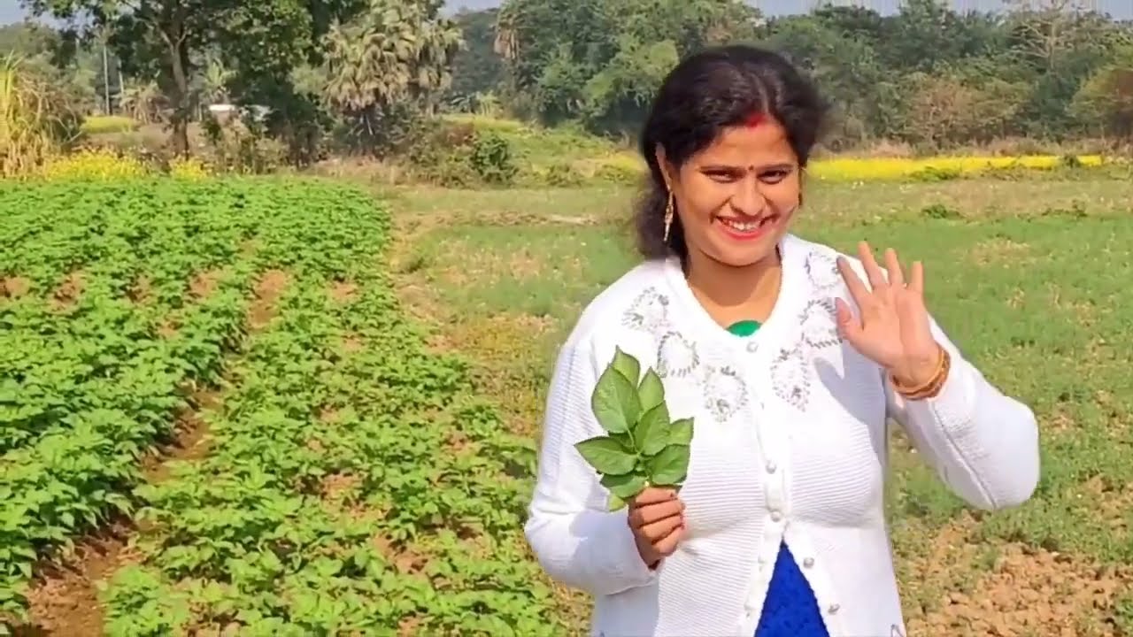 आलू के पत्तों सी बनाई चटकदार रेसिपी/Aaloo Ke Patto Ki Chatakdar Recipe 