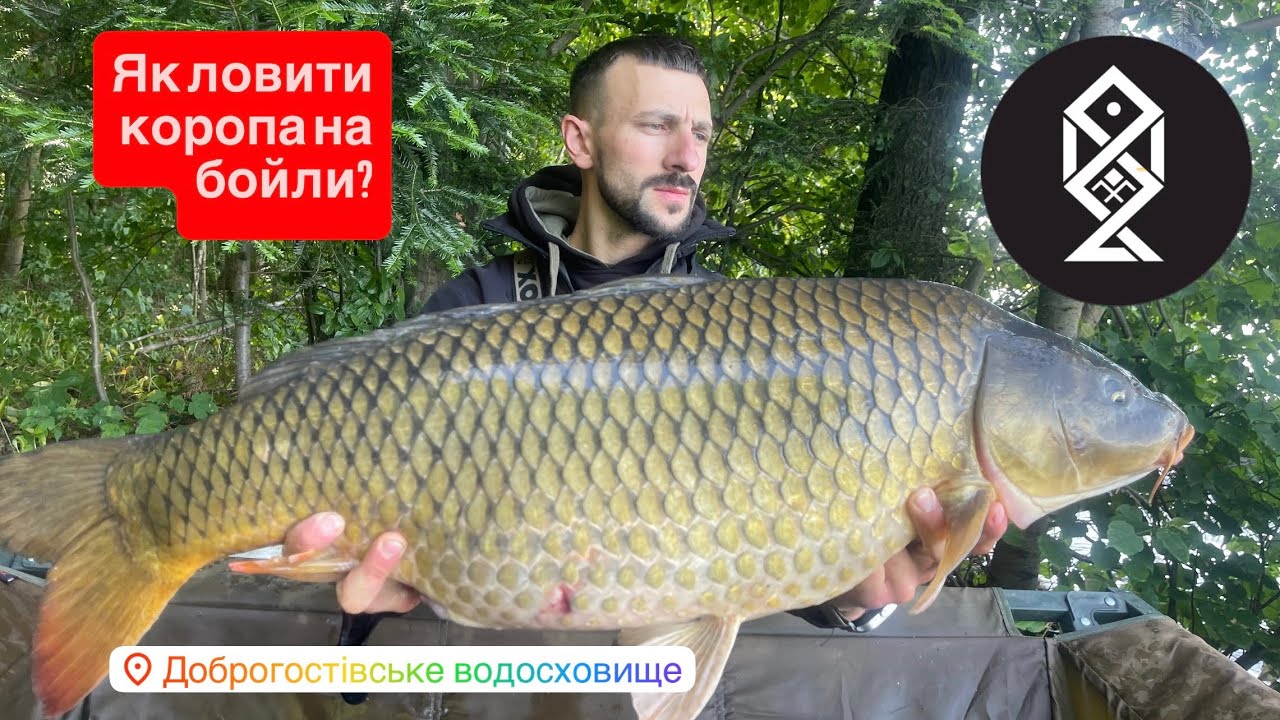 Розіграш!!! Змагання на озері Доброгостів! З ловлі #карпа #амура, формат: Сталкер кобра 3доби