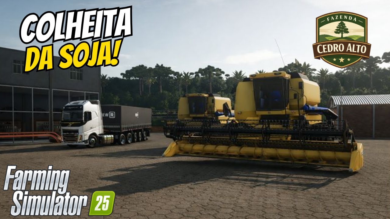 MEGA COLHEITA DE SOJA COM OS GURI NA  FAZENDA CEDRO ALTO!