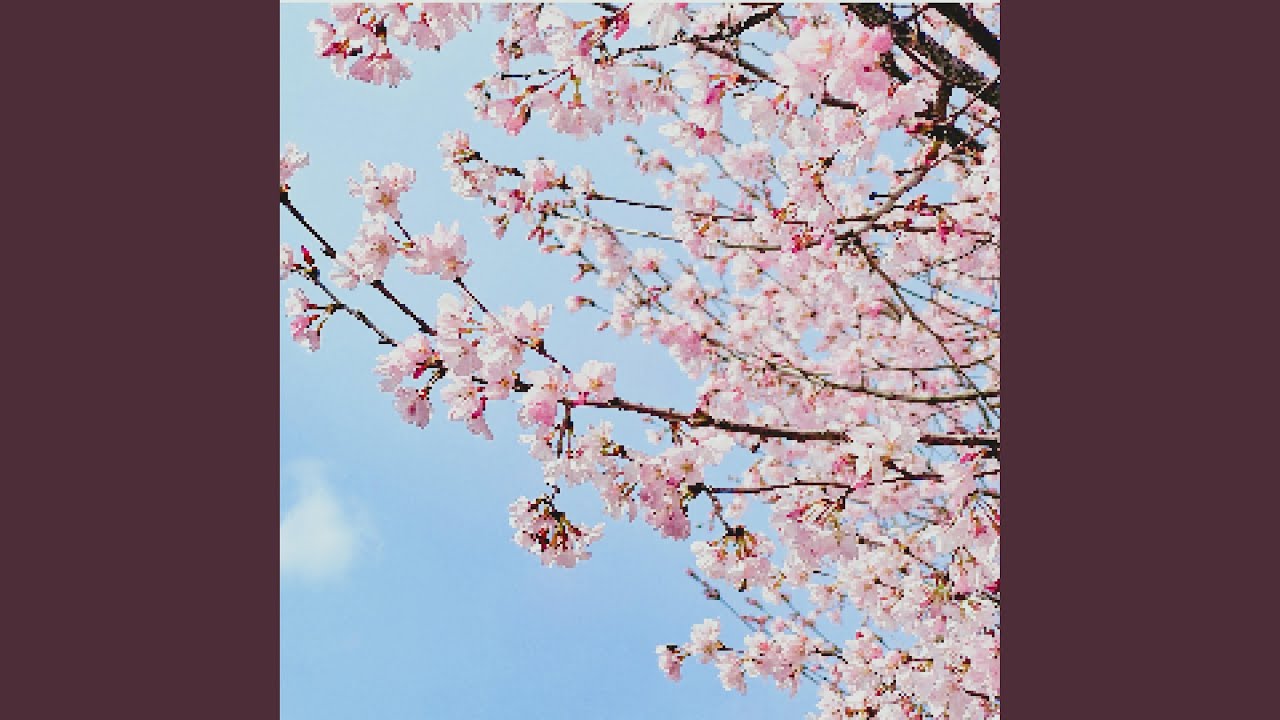 Blank Tapes