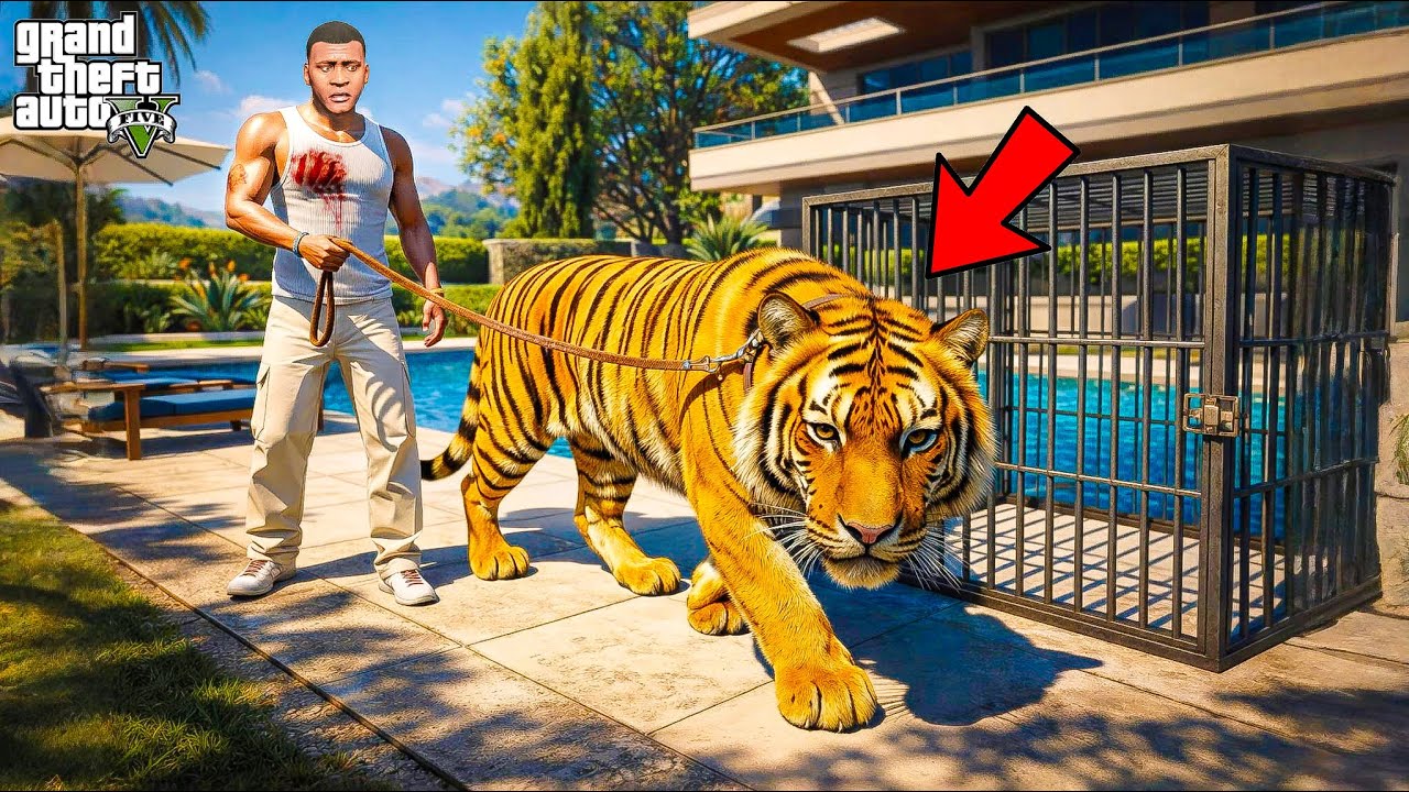 Franklin Found a Bengal Tiger Inside His House 😱 | GTA 5  | Dhanu Dino | Shin Chan in Telugu