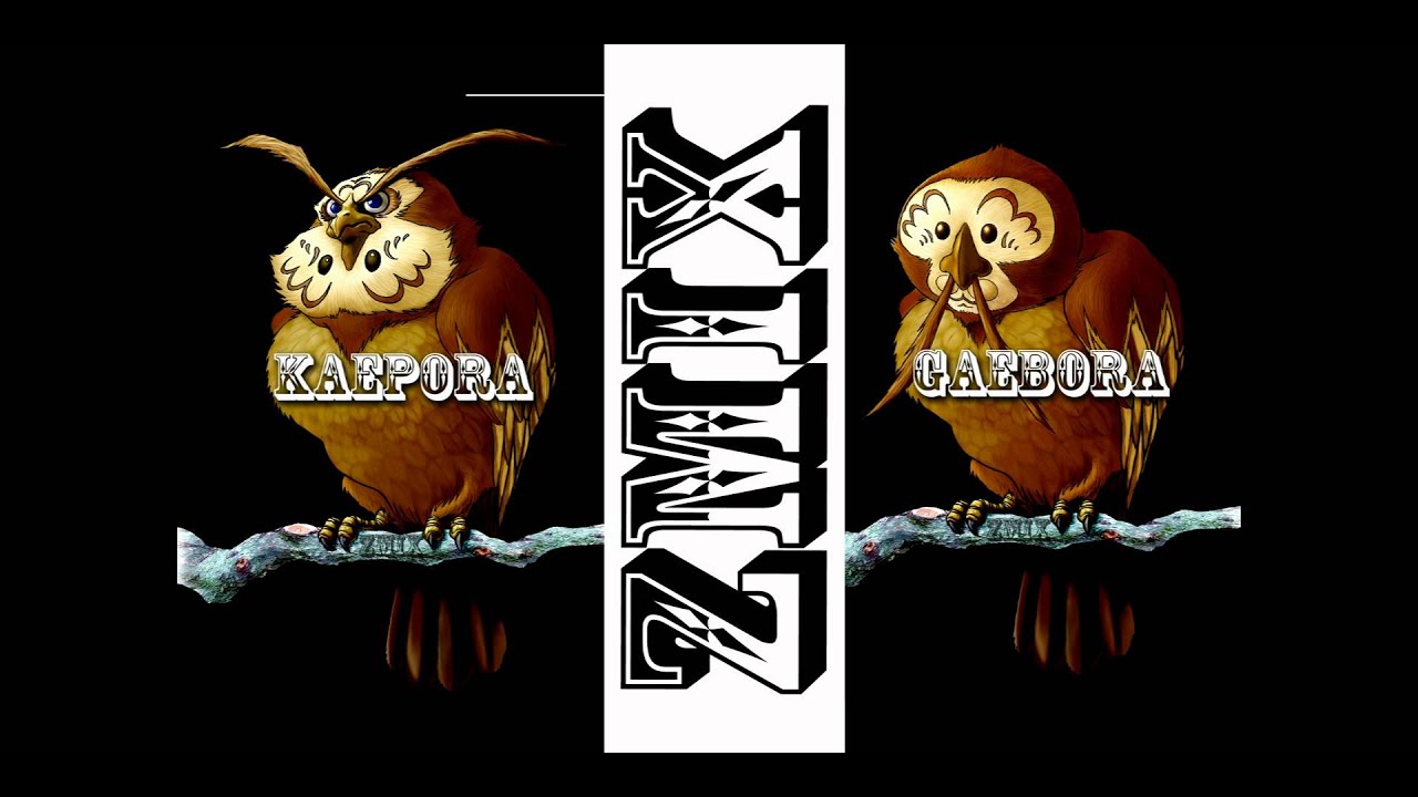 ZMiX - Kaepora Gaebora / Owl Theme (Dubstep Remix) *Zelda *