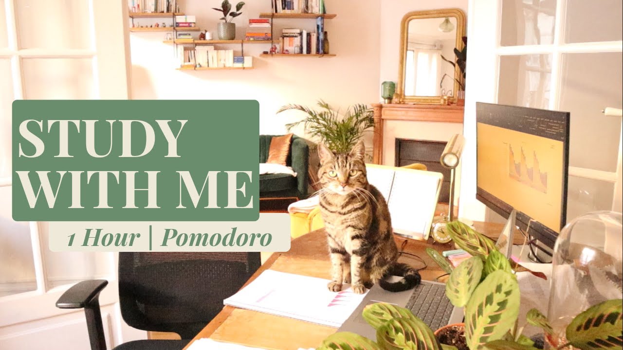 1H STUDY WITH ME AND MY CATS 🐈 | EXPRESS POMODORO 25|5 | DEEP FOCUS WITH RAIN 🌧️