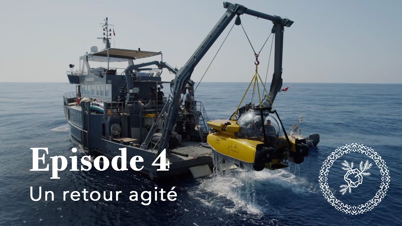 EPISODE 4 : Un retour agité | A turbulent return.