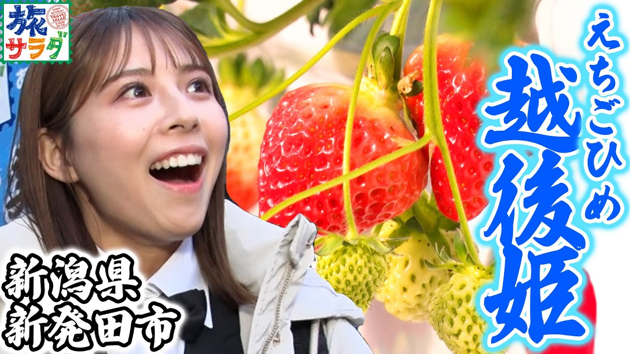 【旬真っ只中🏃🏻‍♀️】真っ赤な宝石