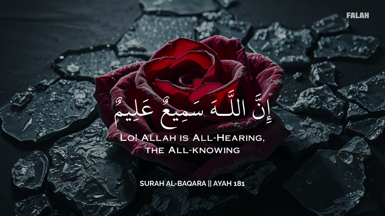 أراحة وطمأنينة بالقرآن 🩶🎧 | تلاوة مؤثرة بصوت محمد هشام| Soul Healing