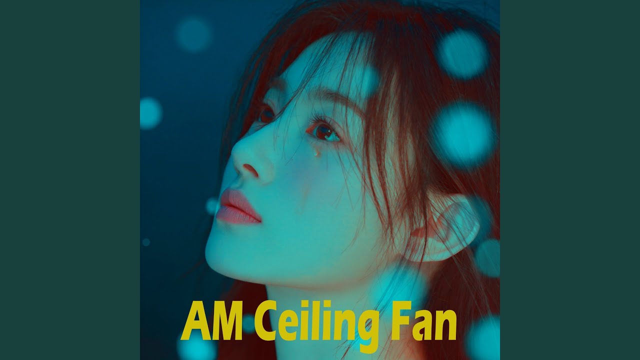 AM Ceiling Fan