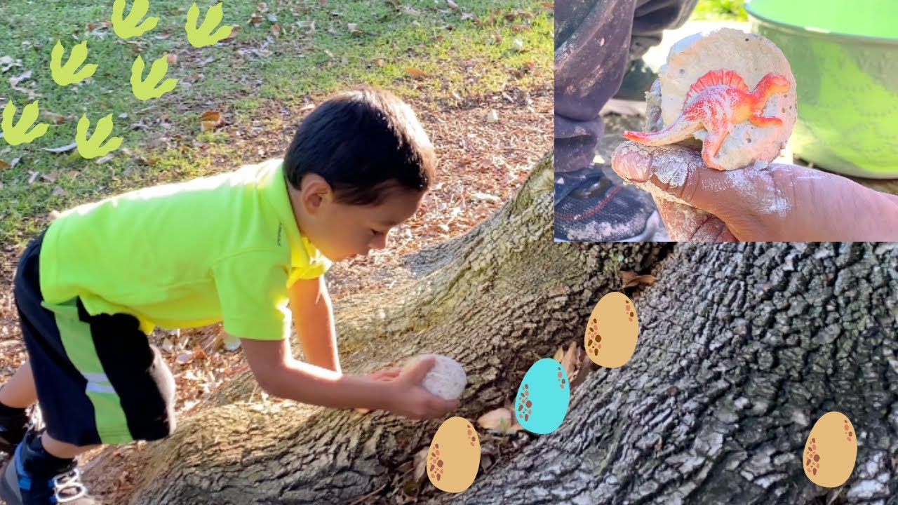 DINOSAUR EGG HUNT SURPRISE | Learning video for kids