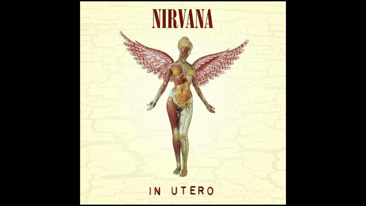 Heart Shaped-Box - Nirvana (Cover)