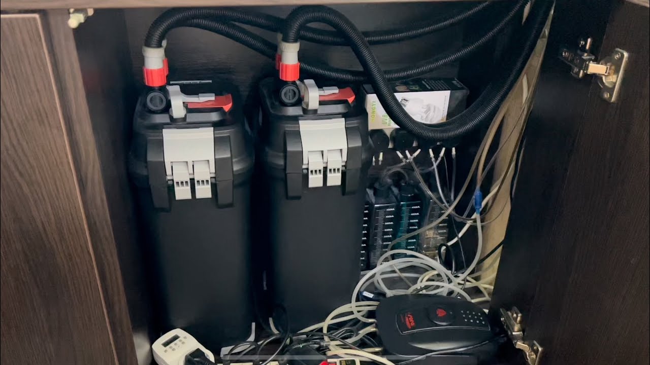 Обслуживание внешнего фильтра Fluval 407 спустя пол года. В каком состояние матрикс и пуриген?