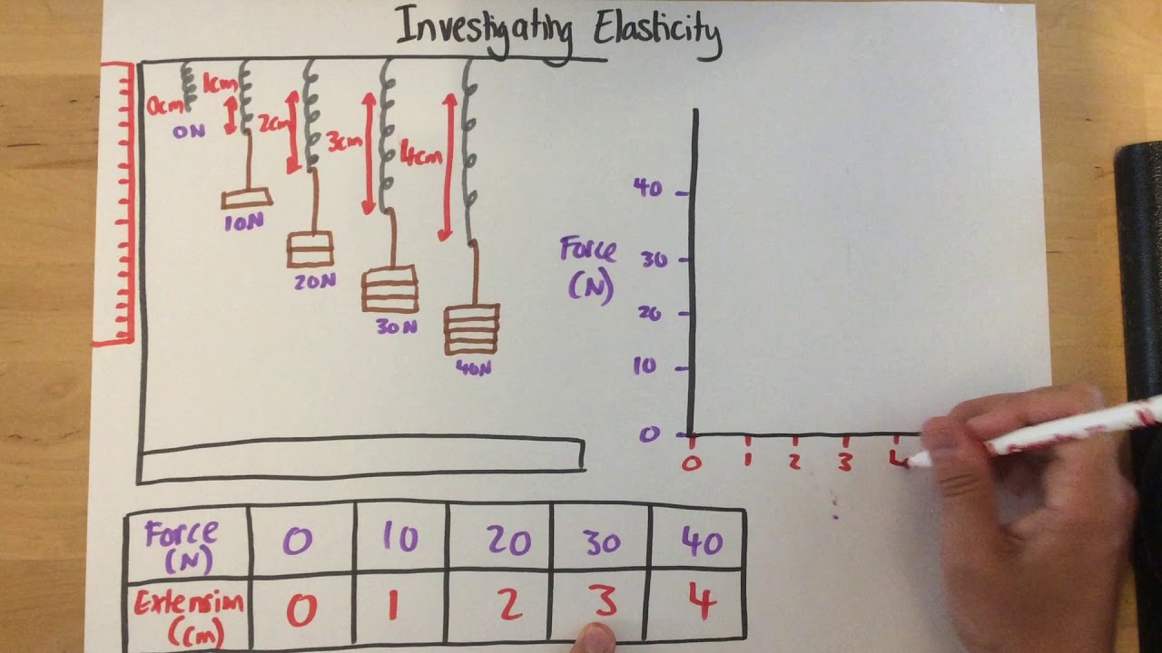 Investigating Elasticity - p206