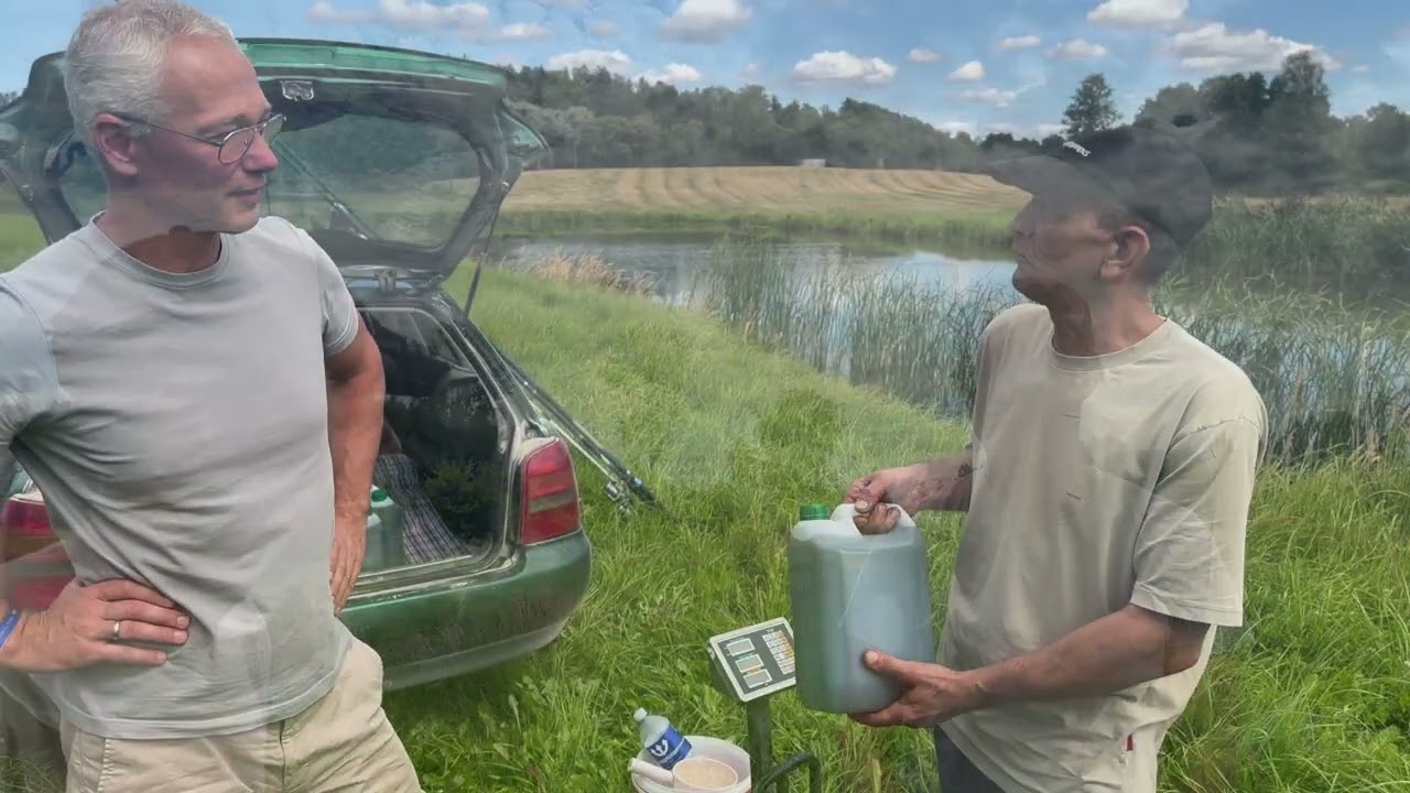 Mikroaļğe Chlorella zivju audzēšanai.