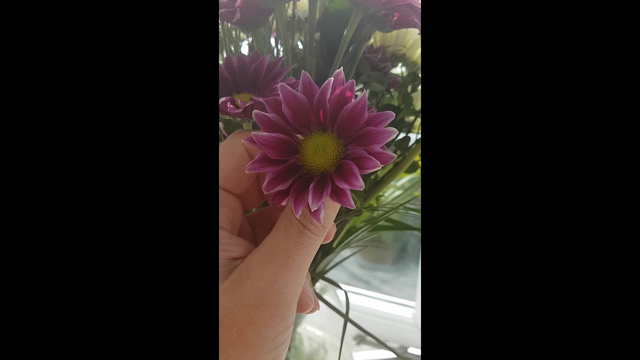 Allergy sneezing fit.