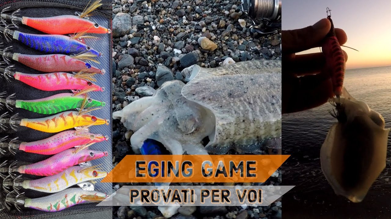 EGING DA RIVA alla seppia con EGI ECONOMICI prova in mare egi basso costo molte catture - clipangler