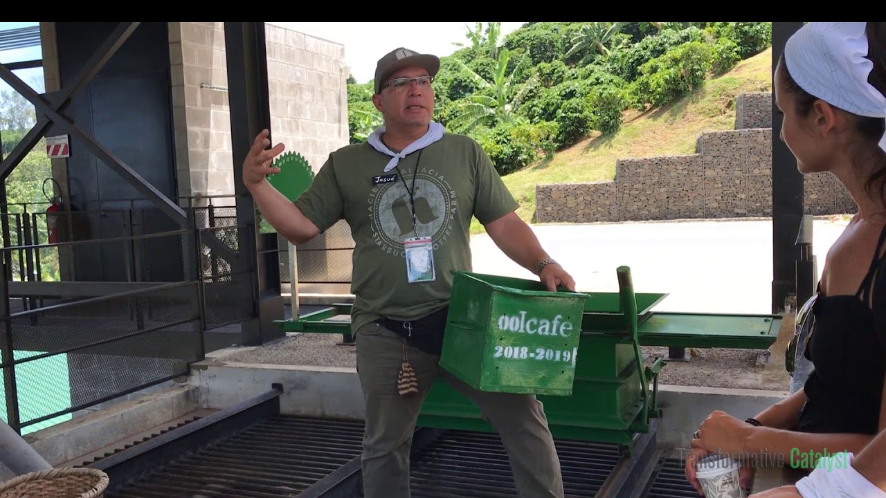 STARBUCKS Coffee Plantation Tour July 2019 Costa Rica
