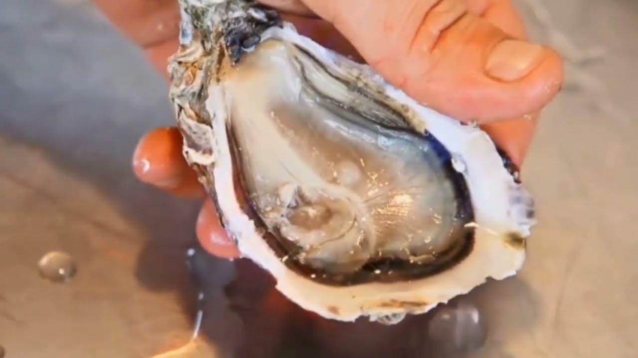 il fait bon vivre en Charente-Maritime