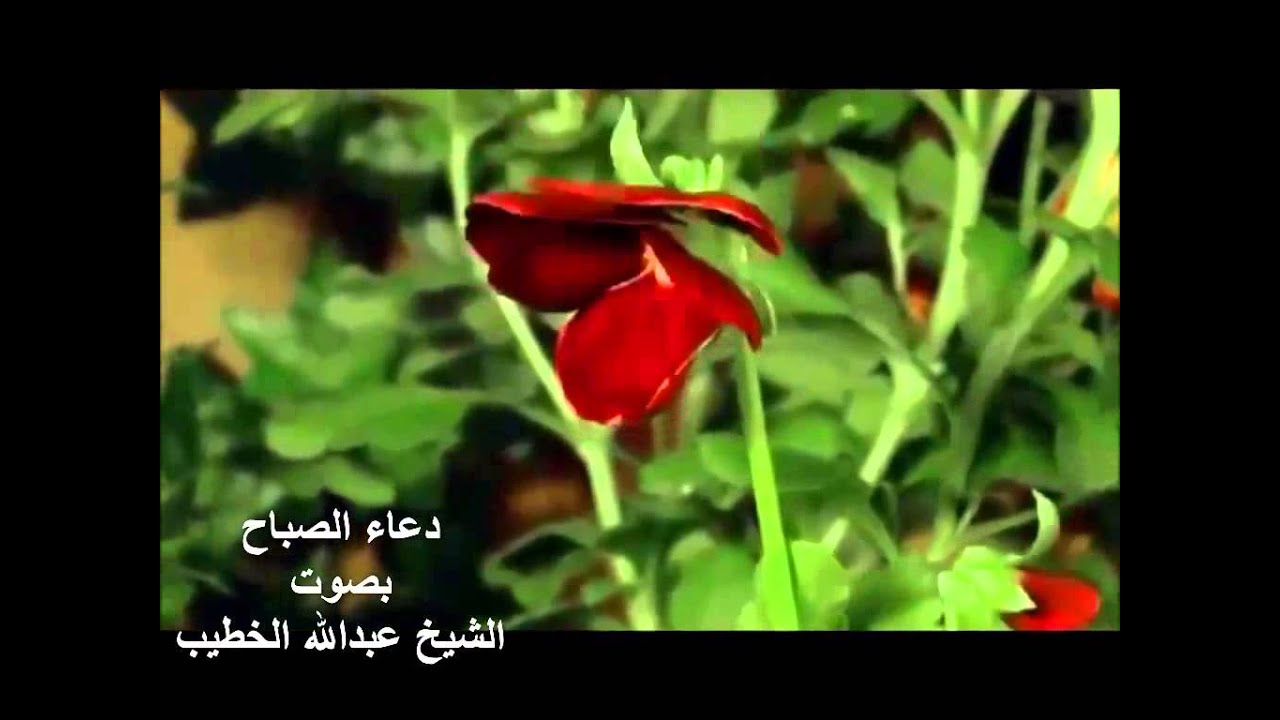 دعاء الصباح ـ بصوت الشيخ عبدالله الخطيب