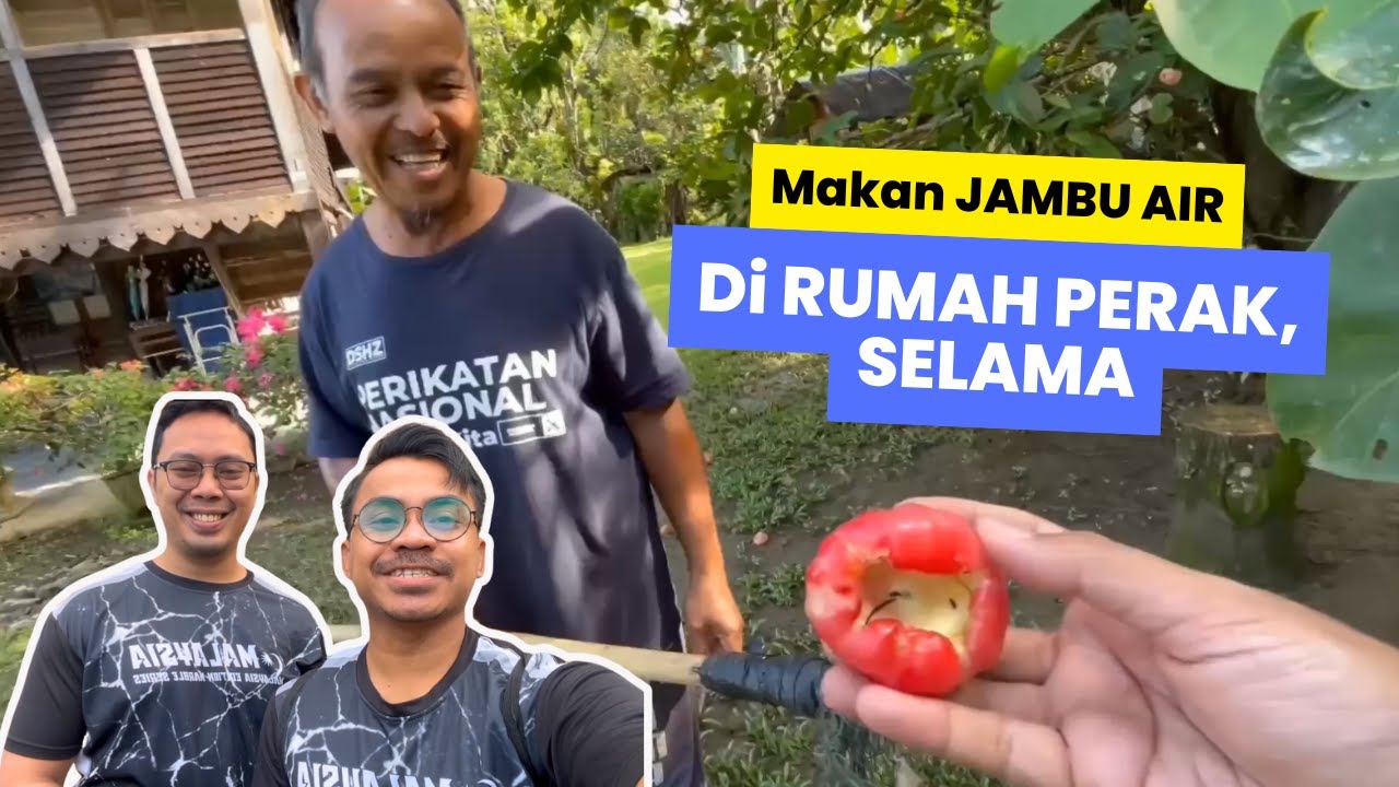 SERONOKNYA Bertamu dan Makan Jambu Air di Rumah Upin Ipin di Selama, Perak 😍