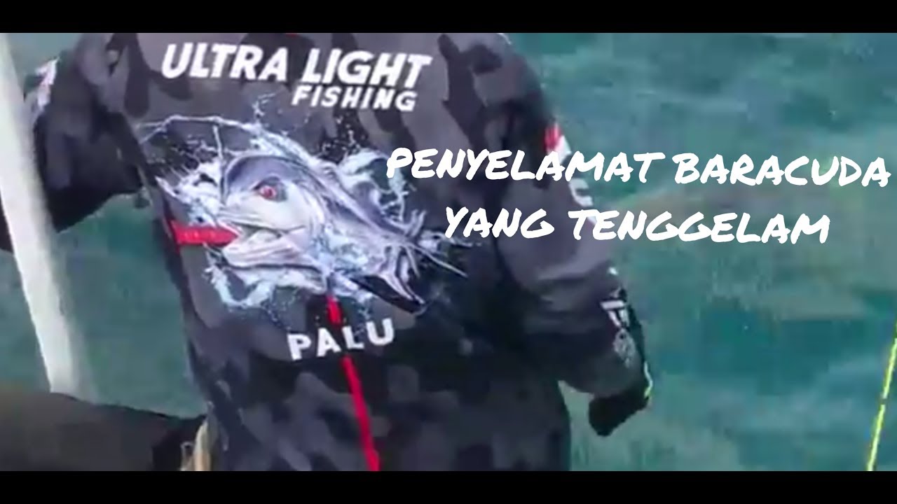 MANCING BARACUDA DENGAN MINNOW LURE