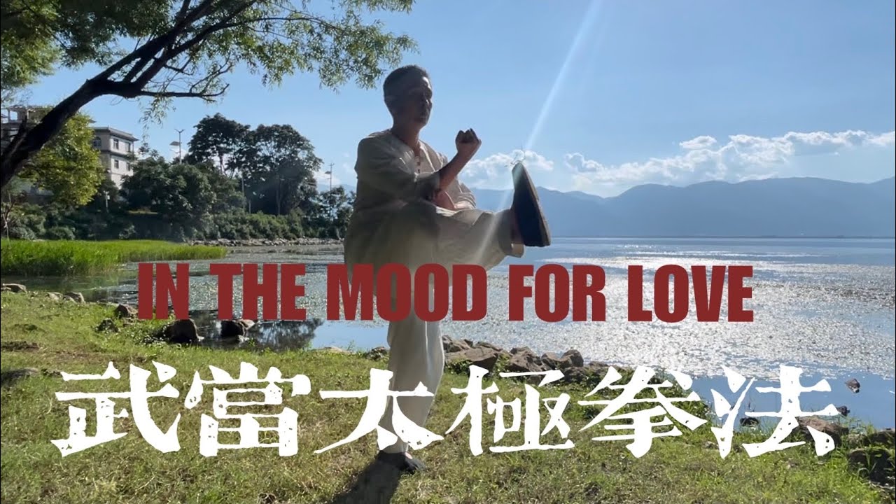 Wudang Tai Chi 48 moves, Tai Chi Master Huangshan｜武当道家家太极拳48式风格黄山老师演示