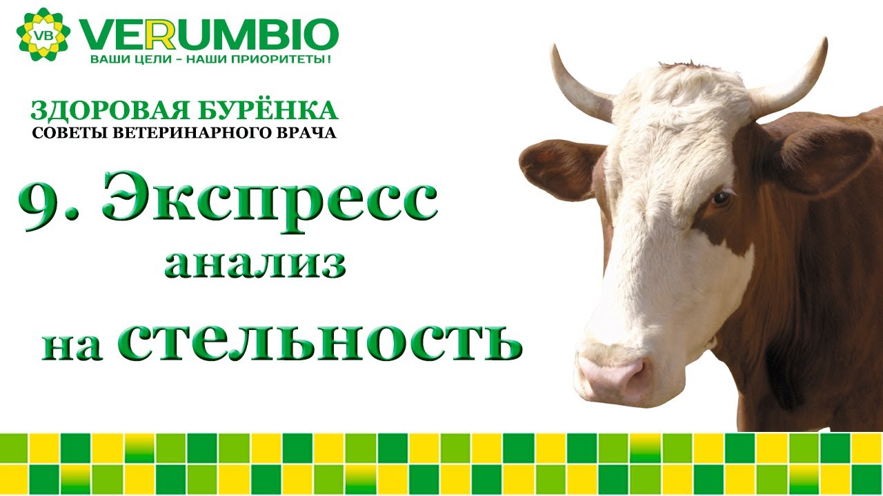 Экспресс-диагностика стельности.