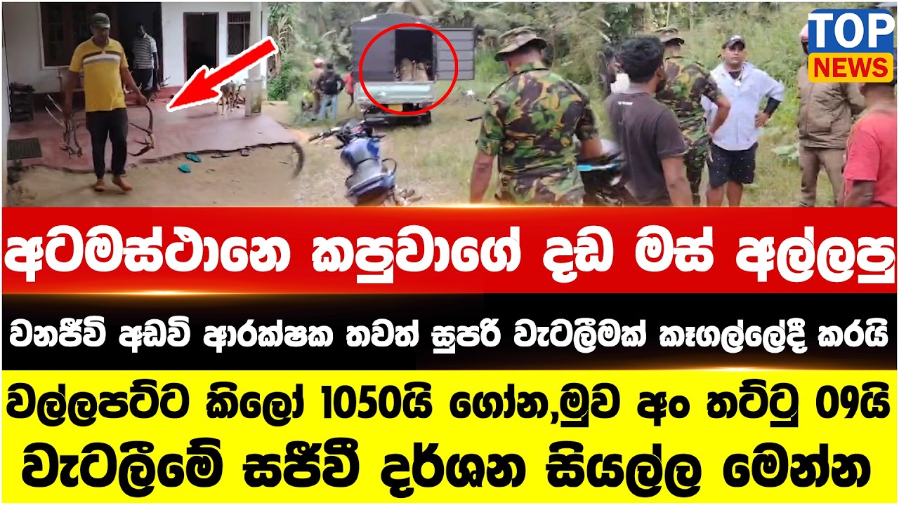 අටමස්ථානෙ කපුවාගේ දඩ මස් අල්ලපු වනජීවි අඩවි ආරක්ෂක තවත් සුපරි වැටලීමක් කෑගල්ලේදී කරයි