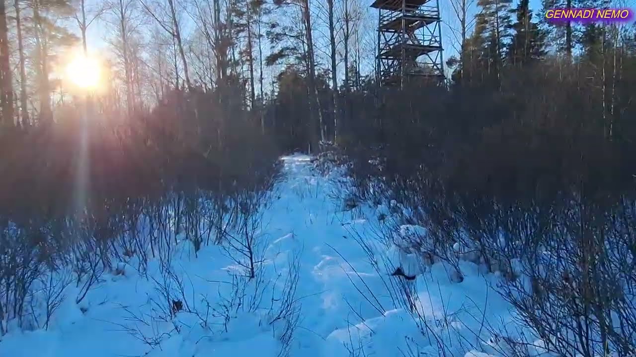 ТРОПА ЗДОРОВЬЯ. ОТ ВЕЛЬНО ДО ВЫШКИ.