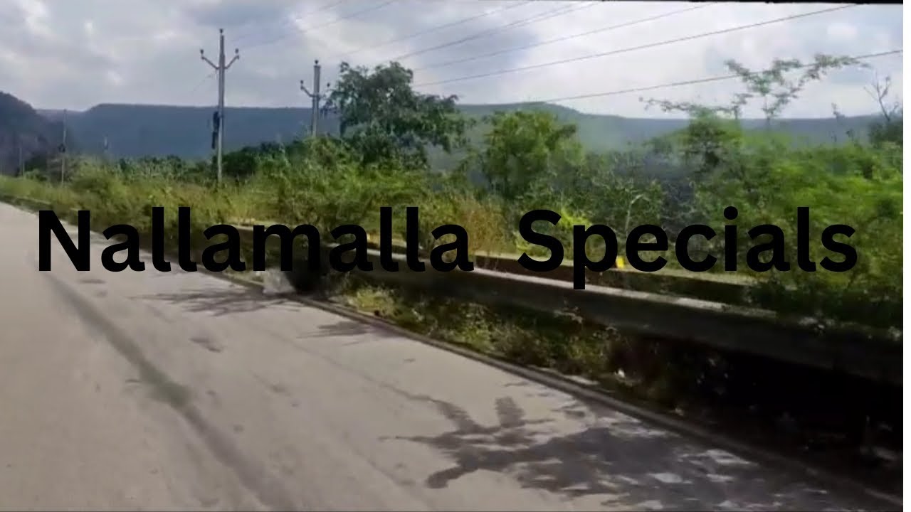 Road trip to srisailam dam back side, inclined tunnel, fresh fish, boating point